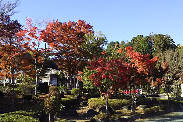 高蔵寺樹木葬墓の特徴